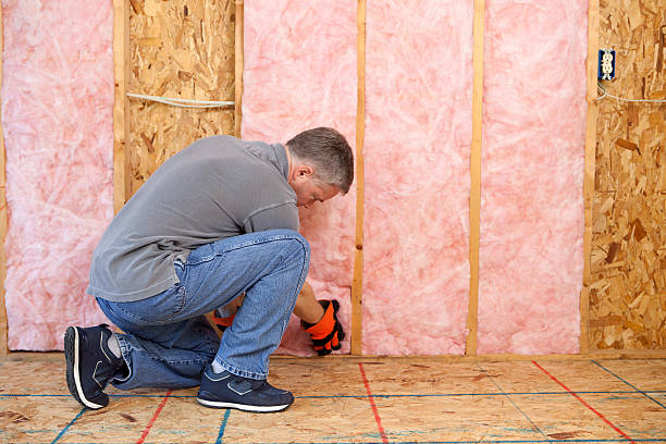 Best Eco-Friendly Insulation in Bent Creek, NC